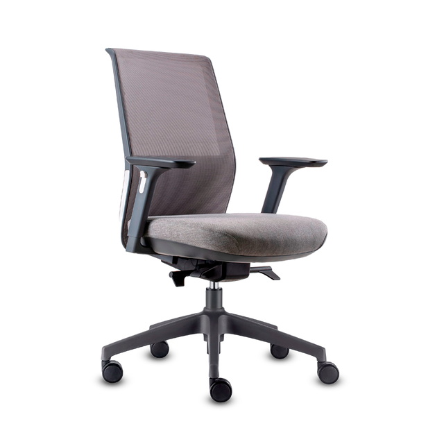 DOLPHIN RM GRIS, ASTO AJ, LUM, M, B GRIS