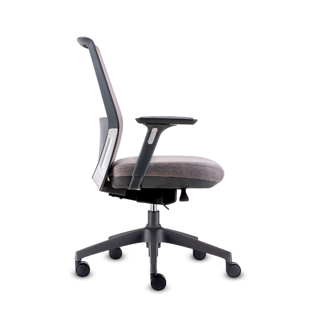 DOLPHIN RM A.GR M.NA A.AJ B+E GR LUM NA