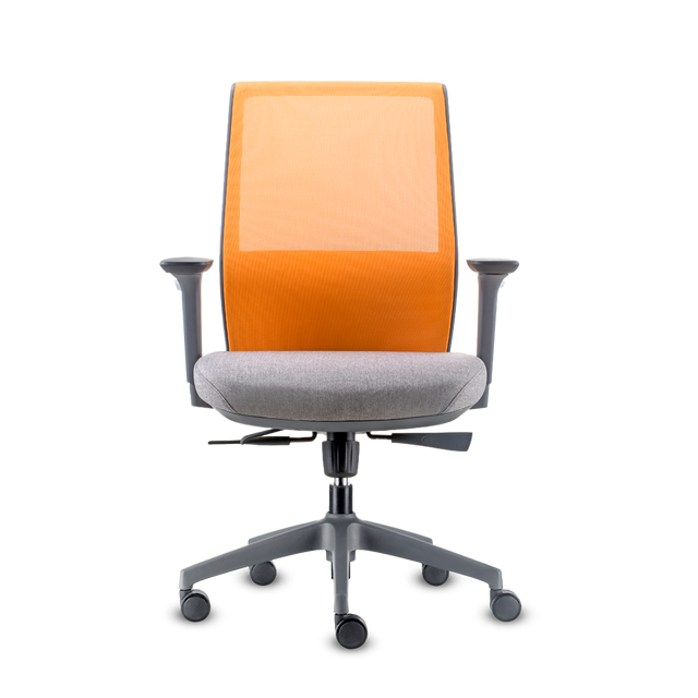 DOLPHIN RM A.GR M.NA A.AJ B+E GR LUM NA