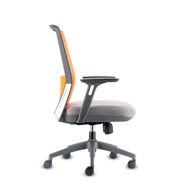 DOLPHIN RM A.GR M.NA A.AJ B+E GR LUM NA