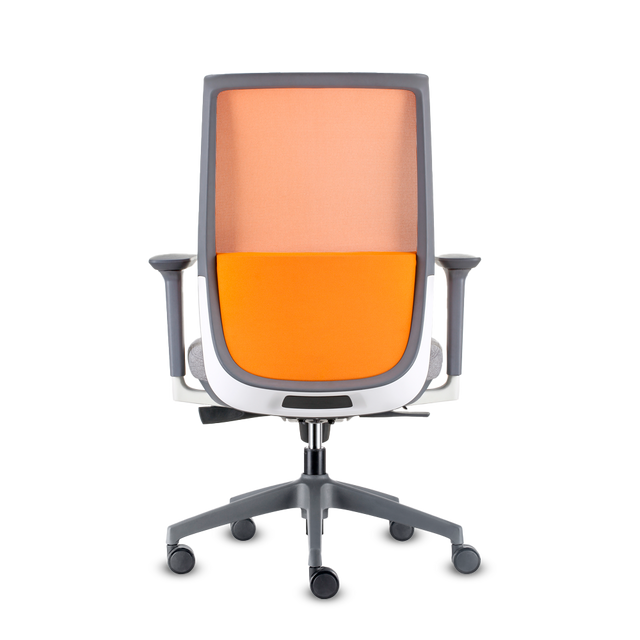 DOLPHIN RM A.GR M.NA A.AJ B+E GR LUM NA