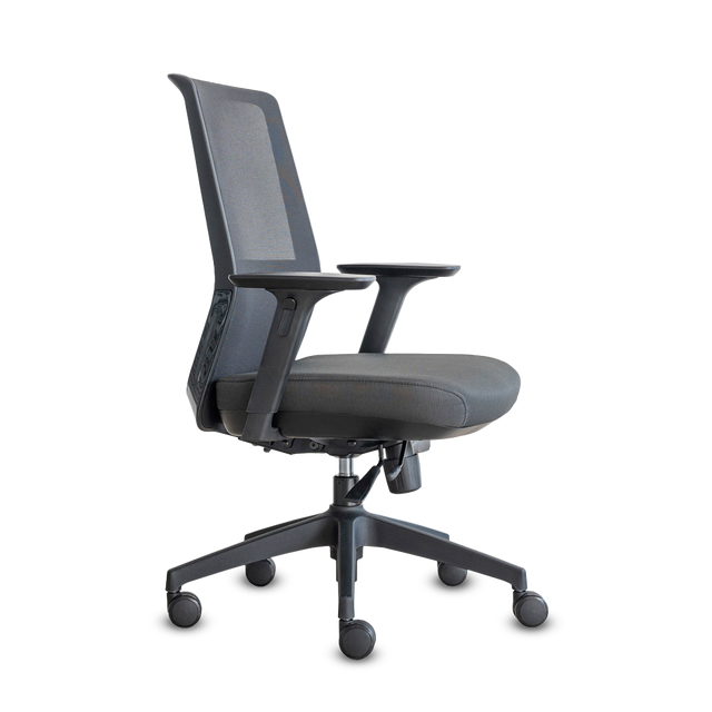 DOLPHIN RM A.GR M.NA A.AJ B+E GR LUM NA