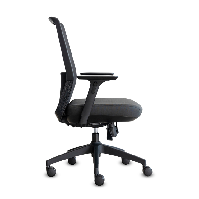 DOLPHIN RM A.GR M.NA A.AJ B+E GR LUM NA