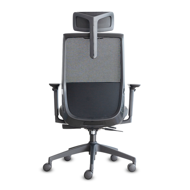 DOLPHIN CC ALL BLACK A.AJ LUMBAR