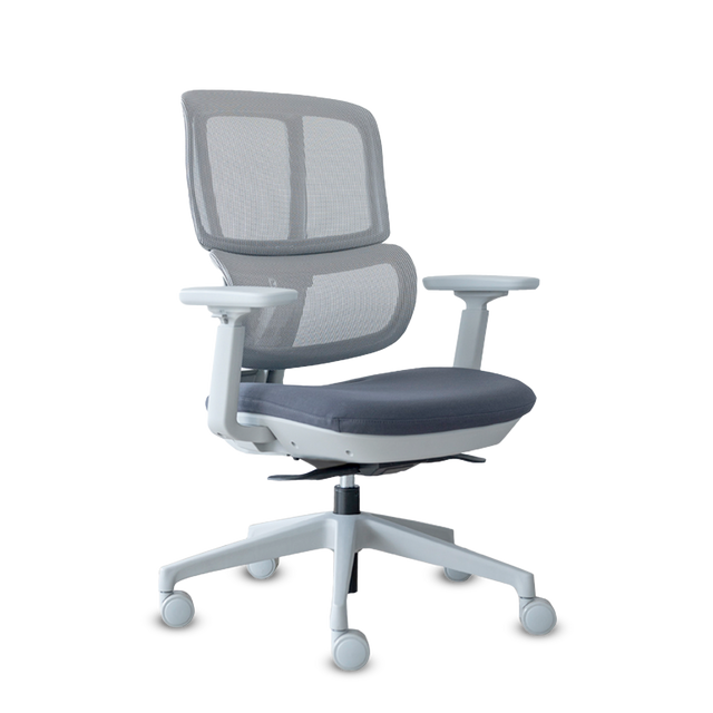 H2 RM GRIS A.GF M+B.GRIS BR4D RUE PU