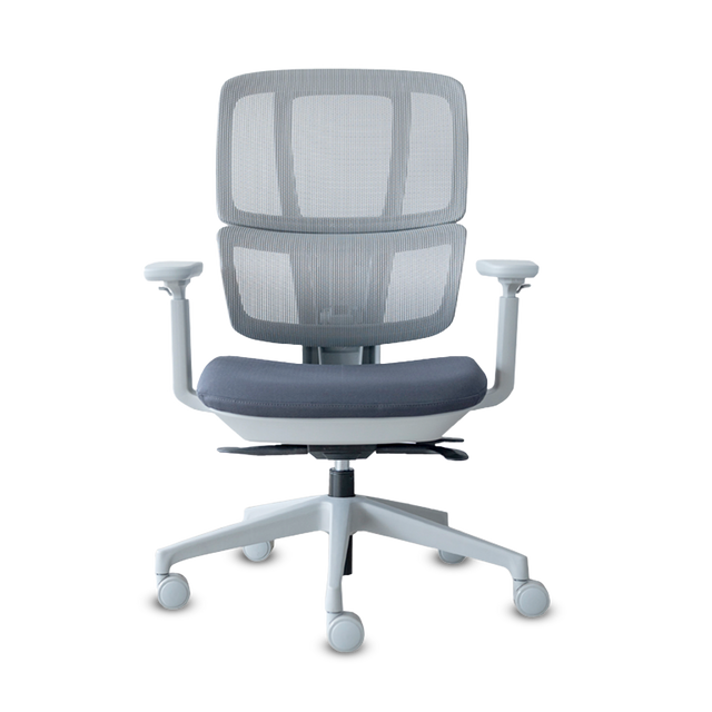 H2 RM GRIS A.GF M+B.GRIS BR4D RUE PU