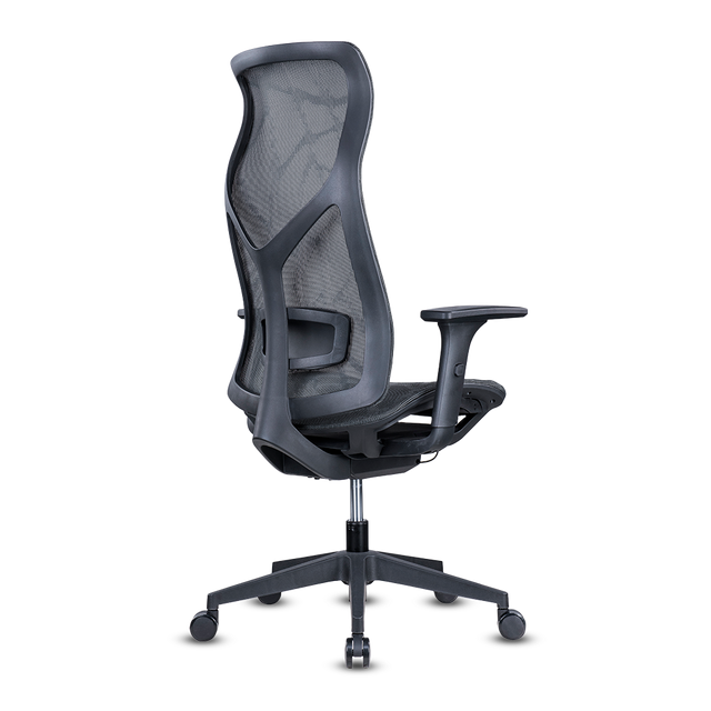 CAIN NG R+A MALLA GRAFITO A.AJ BR3D 283A