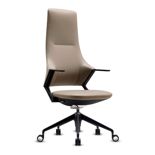 BALLET CUERO/PU ARENA 4A3018 E+B+BRF NG