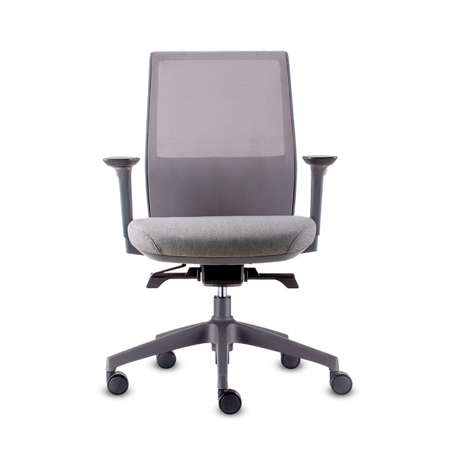 DOLPHIN RM A.GR M.NA A.AJ B+E GR LUM NA