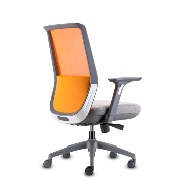 DOLPHIN RM A.GR M.NA A.AJ B+E GR LUM NA