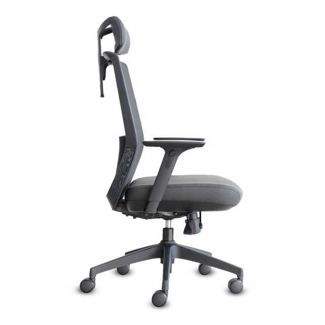 DOLPHIN CC ALL BLACK A.AJ LUMBAR